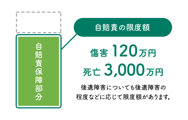 お支払いする共済金の種類 自賠責共済 強制共済 くるま に関する保障のお手続き ご契約者の皆さま Ja共済